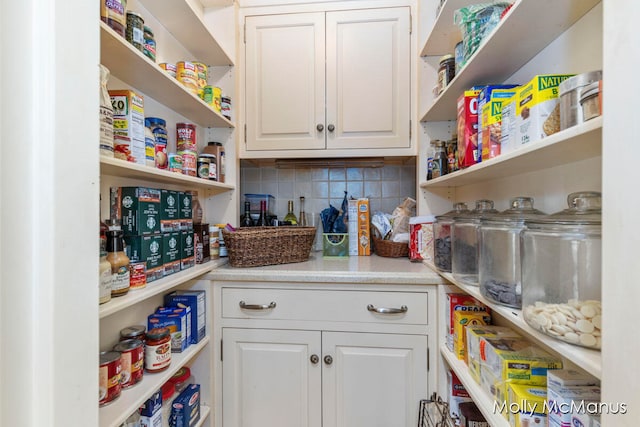 view of pantry