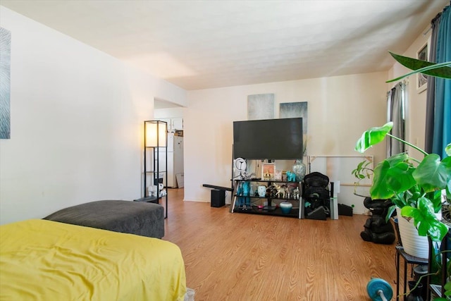 bedroom with light hardwood / wood-style floors