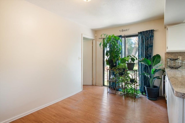 interior space with light hardwood / wood-style floors