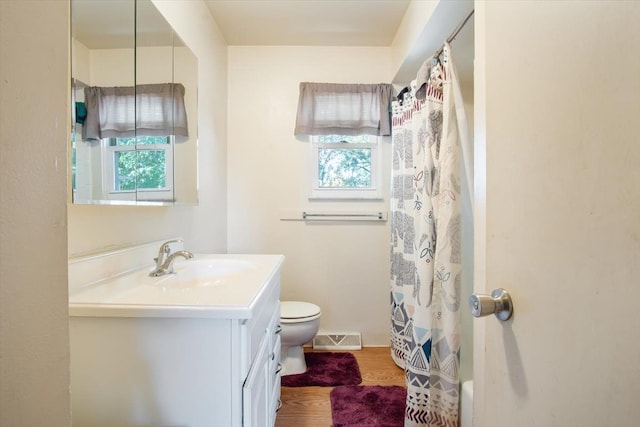 bathroom featuring hardwood / wood-style flooring, vanity, and toilet