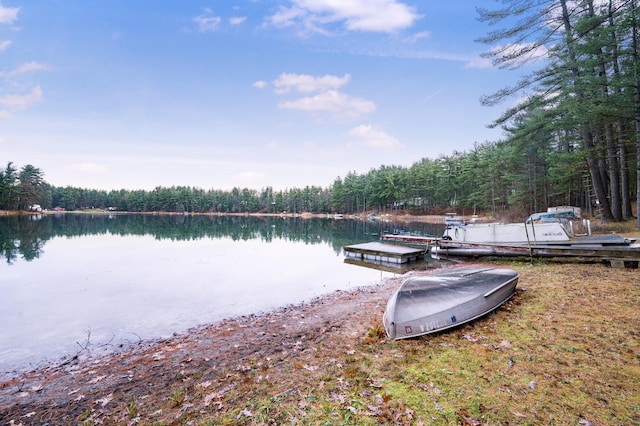 dock area with a water view