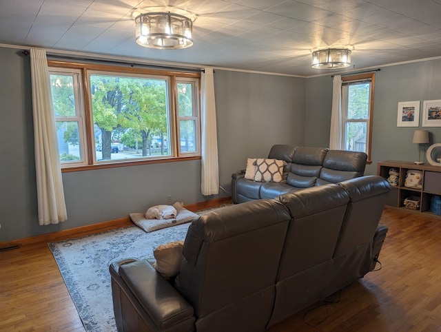 living room with wood-type flooring and crown molding