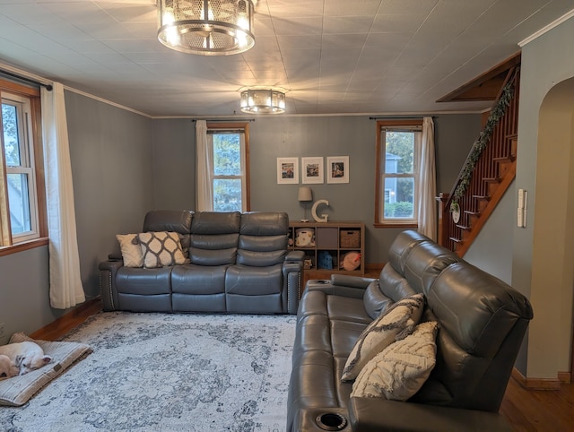 living room with a chandelier, ornamental molding, a healthy amount of sunlight, and hardwood / wood-style flooring