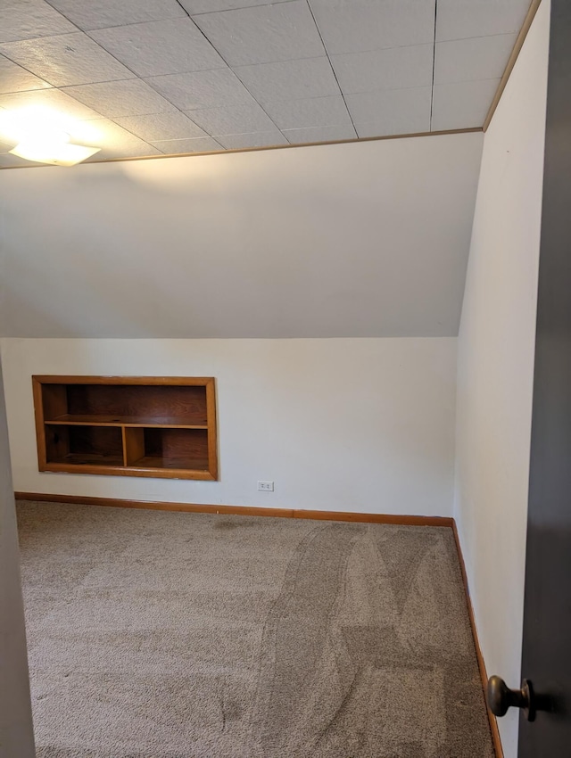 bonus room featuring carpet floors