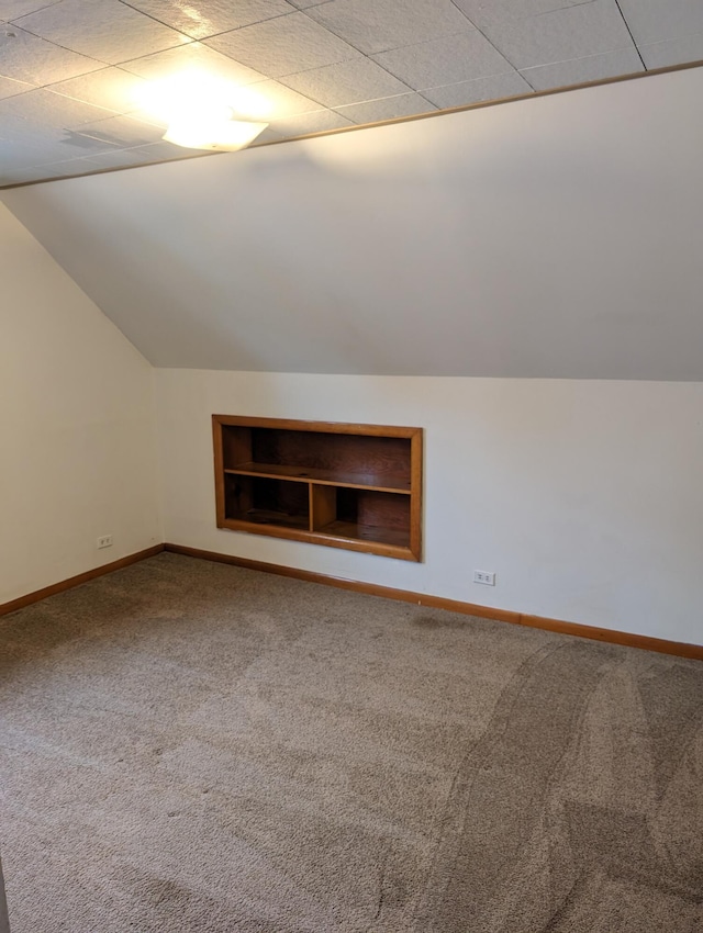 additional living space featuring carpet and vaulted ceiling