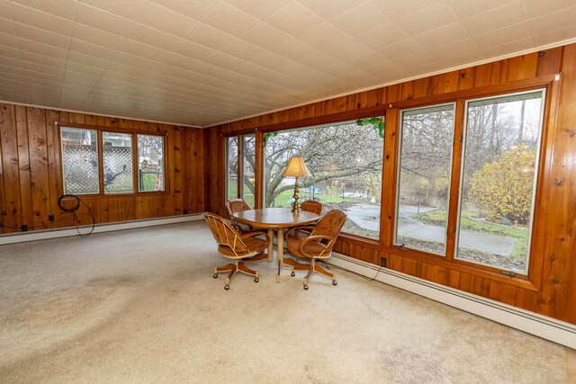 21734 N Channel Pkwy, Edwardsburg, MI 49112 - sunroom featuring baseboard heating, carpet flooring, and wooden walls