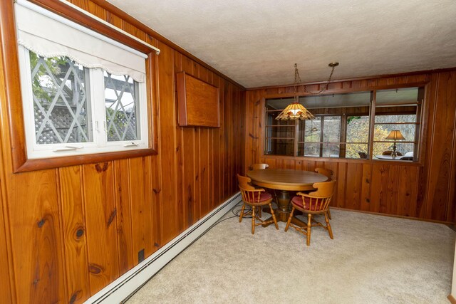 21734 N Channel Pkwy, Edwardsburg, MI 49112 - dining space with wooden walls, a baseboard heating unit, and carpet floors