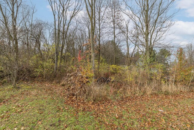 21734 N Channel Pkwy, Edwardsburg, MI 49112 - view of woods