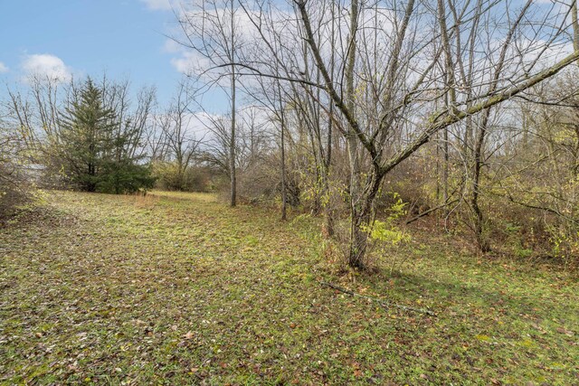 21734 N Channel Pkwy, Edwardsburg, MI 49112 - view of yard