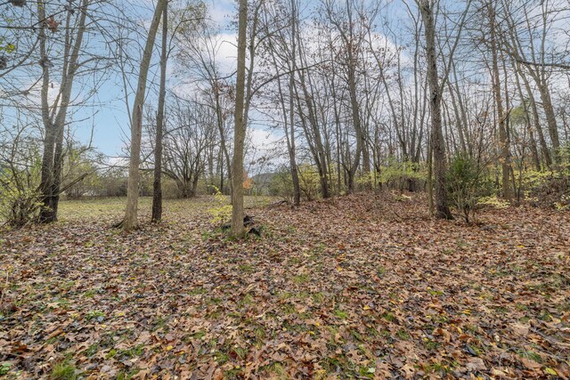 21734 N Channel Pkwy, Edwardsburg, MI 49112 - view of undeveloped land