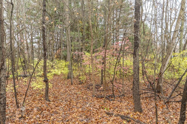 21734 N Channel Pkwy, Edwardsburg, MI 49112 - view of tree filled area