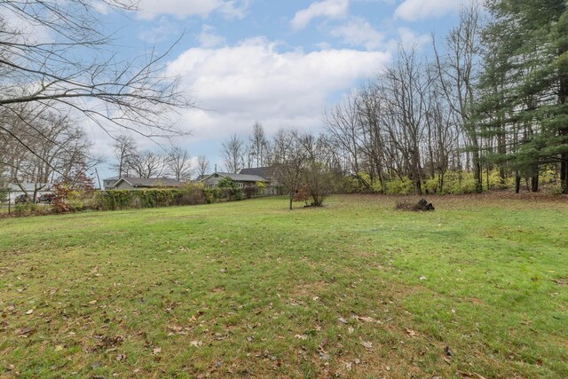 21734 N Channel Pkwy, Edwardsburg, MI 49112 - view of green lawn