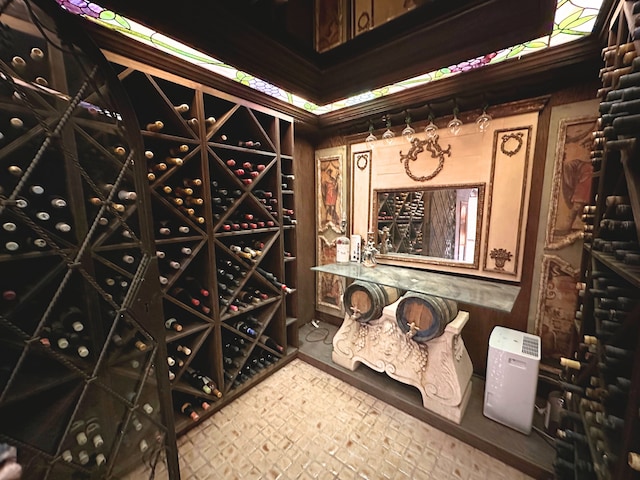 view of wine cellar