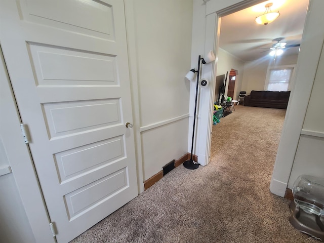 hallway with carpet floors