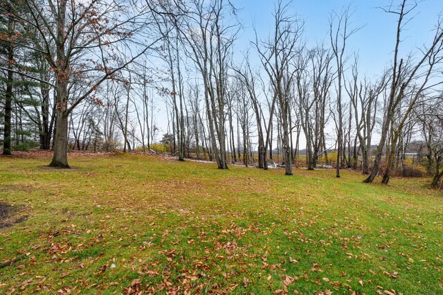 18980 16 Mile Rd, Marshall, MI 49068 - view of grassy yard