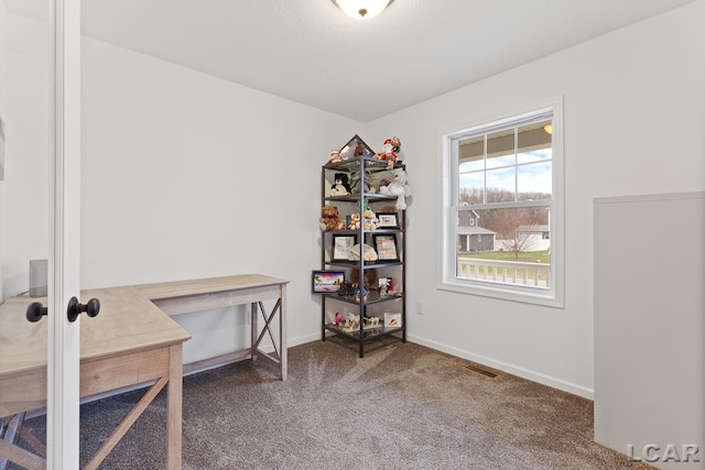 miscellaneous room featuring carpet flooring