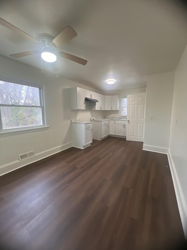 1060 Cross St, Saginaw, MI 48602 - kitchen with baseboards, light countertops, dark wood-style floors, under cabinet range hood, and a ceiling fan