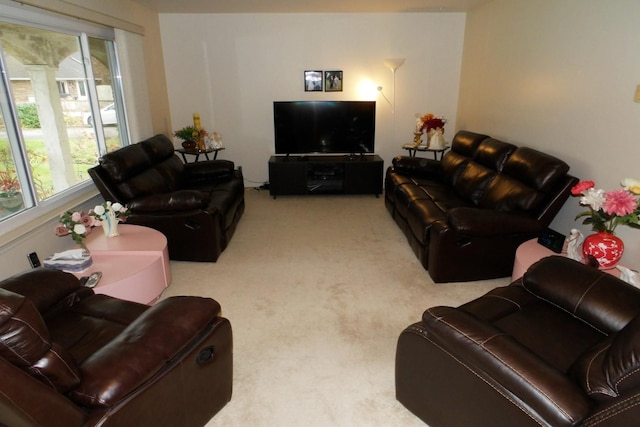 48041 Sugarbush Rd, Chesterfield, MI 48047 - living room with carpet and plenty of natural light