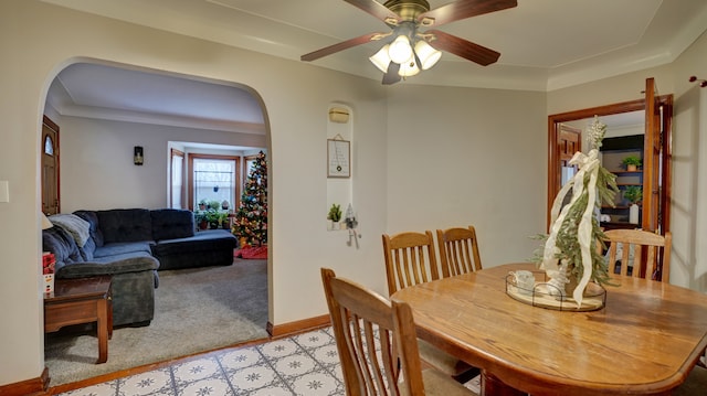 carpeted dining room with ceiling fan and crown molding