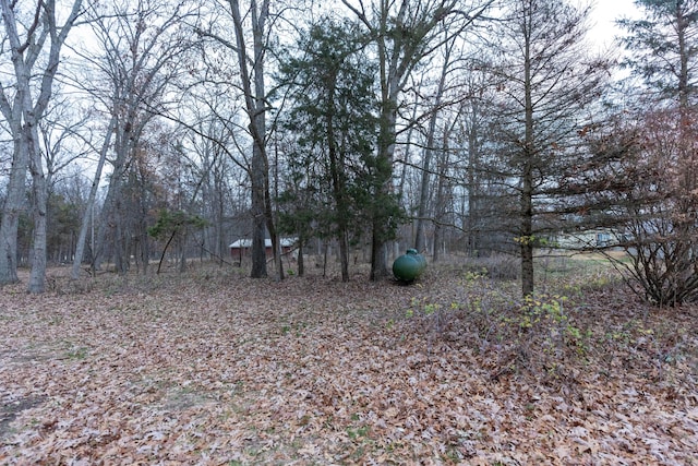 view of nature