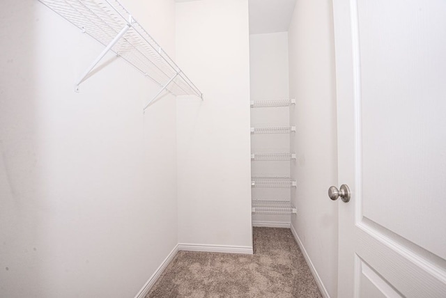 spacious closet featuring light colored carpet