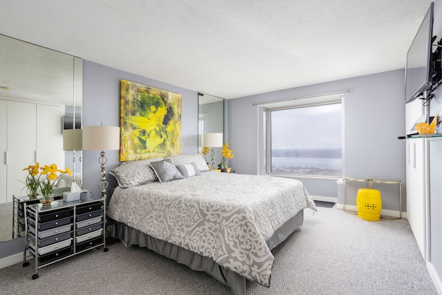 bedroom featuring baseboards, a textured ceiling, and carpet