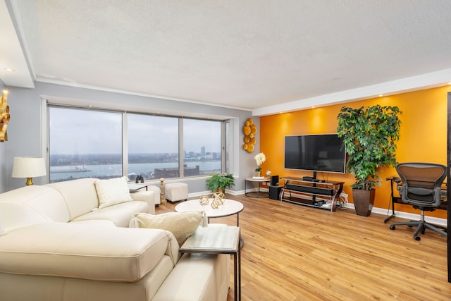 living room featuring baseboards, a textured ceiling, and wood finished floors