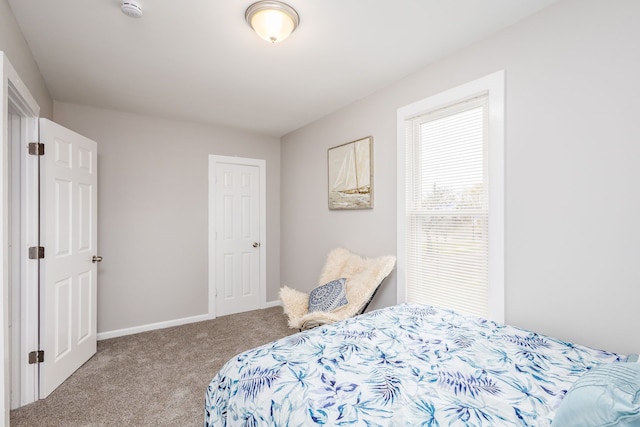 bedroom featuring carpet floors