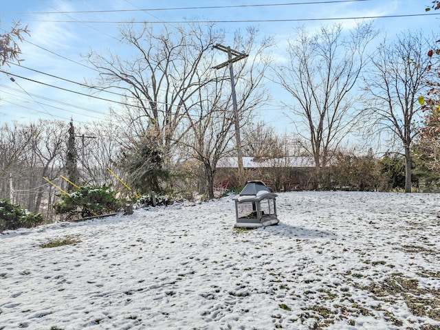 view of yard covered in snow