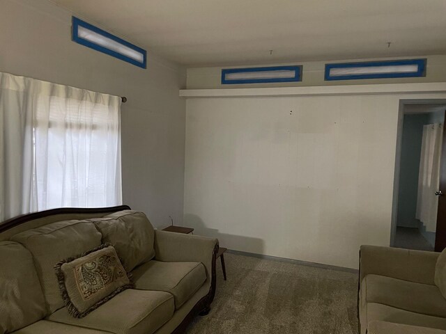 3867 Susan St, Wellston, MI 49689 - view of carpeted living room