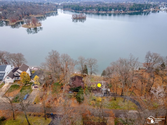 11477 Highland Hills Dr, Jerome, MI 49249 - aerial view of a nearby body of water