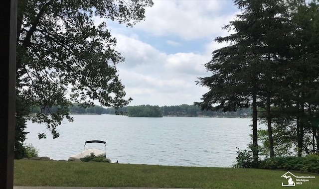 11477 Highland Hills Dr, Jerome, MI 49249 - water view