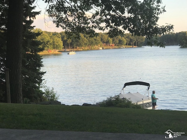 11477 Highland Hills Dr, Jerome, MI 49249 - water view