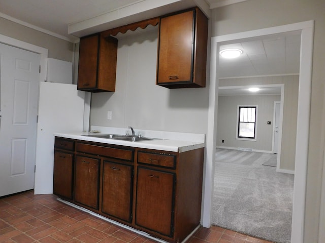 kitchen featuring dark brown cabinetry, sink, carpet floors, and ornamental molding