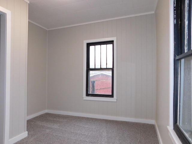 unfurnished room with carpet, ornamental molding, and wood walls