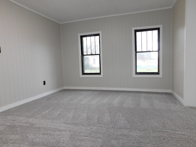 empty room featuring carpet, crown molding, and a wealth of natural light