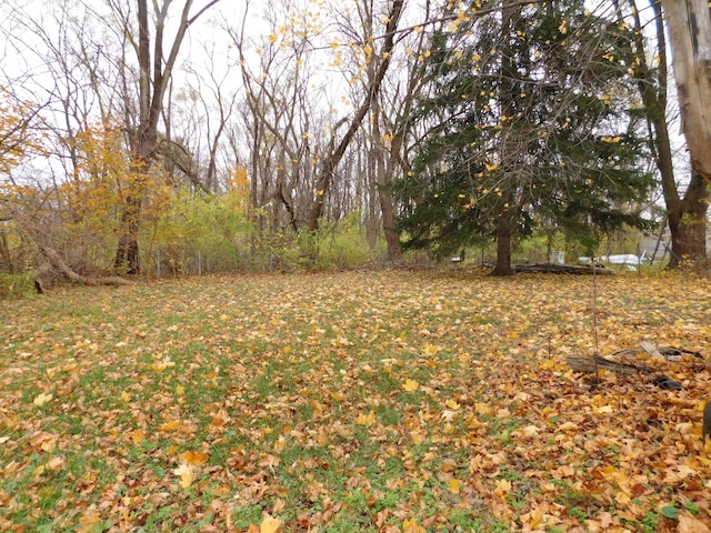 2265 Holly St, Benton Harbor, MI 49022 - view of yard