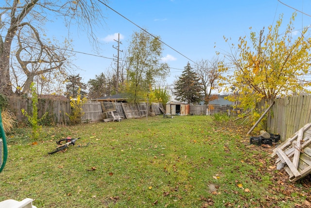 view of yard featuring a storage shed