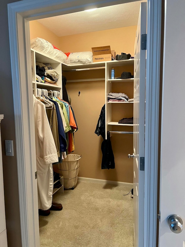 walk in closet featuring carpet floors