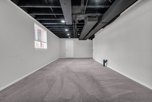 basement featuring carpet floors