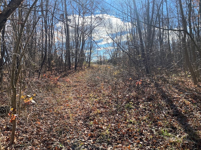 view of local wilderness