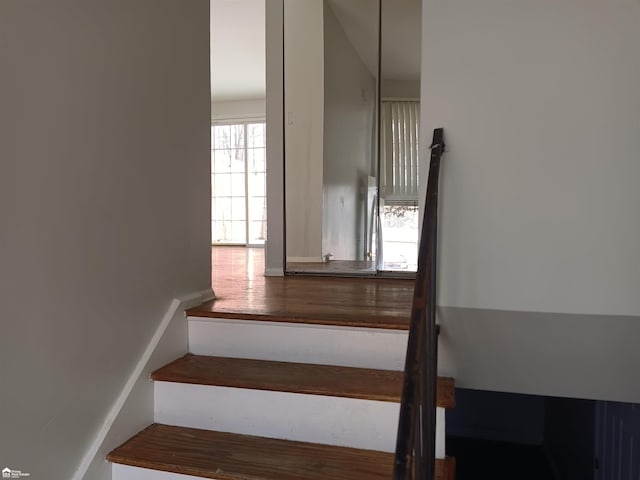 stairway with wood-type flooring