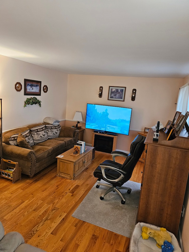 living room featuring light hardwood / wood-style flooring