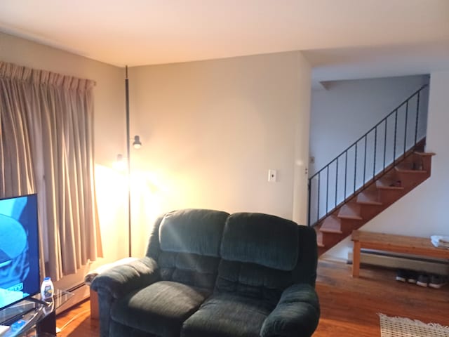 living room featuring hardwood / wood-style flooring and a baseboard radiator