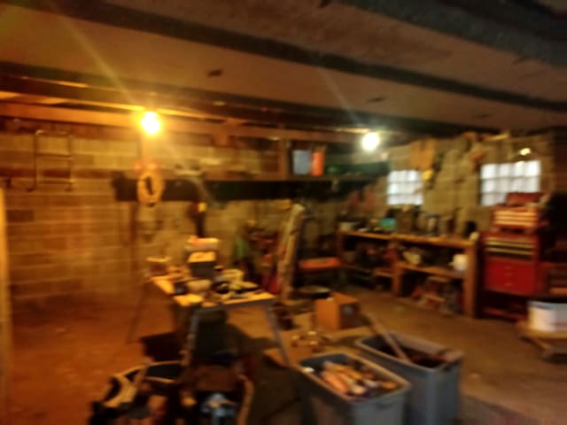 basement featuring a workshop area