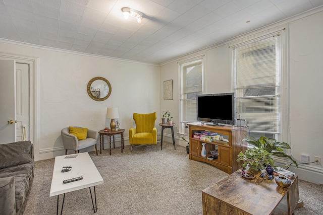 carpeted living room with ornamental molding