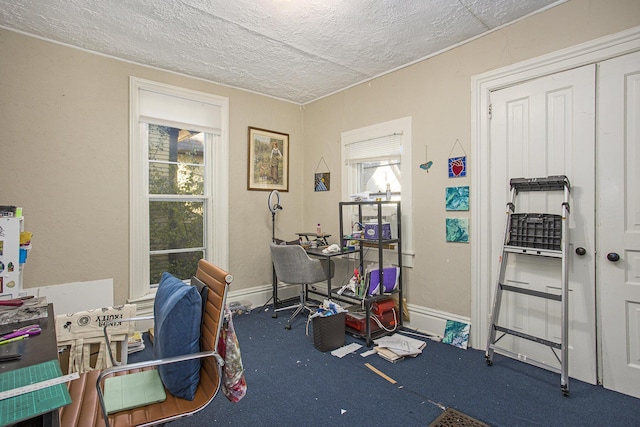 interior space featuring carpet floors and a textured ceiling