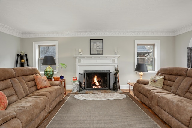 living room featuring crown molding and wood-type flooring