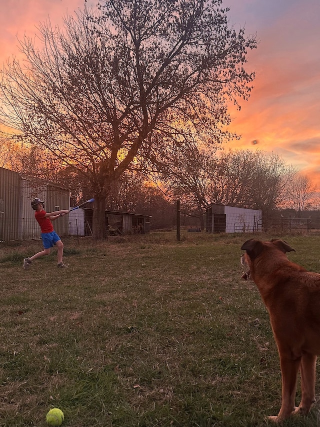 view of yard at dusk