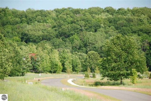 LOT71 S Skye Hill Dr, Traverse City, MI 49684 - photo 11